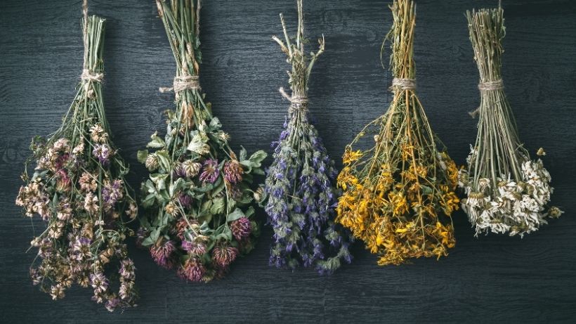 How to dry flowers and plants?