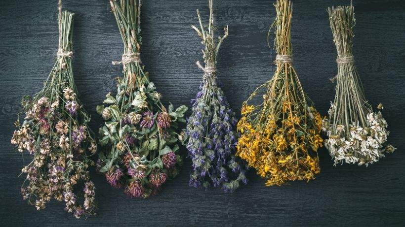 How to dry flowers