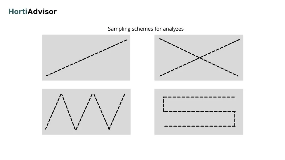 Sampling schemes for analyzes