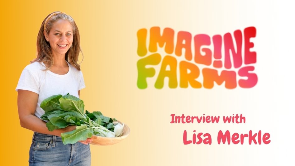 Is it possible to grow superfood in the city? Interview with Lisa Merkle, co-founder of Imagine Farms