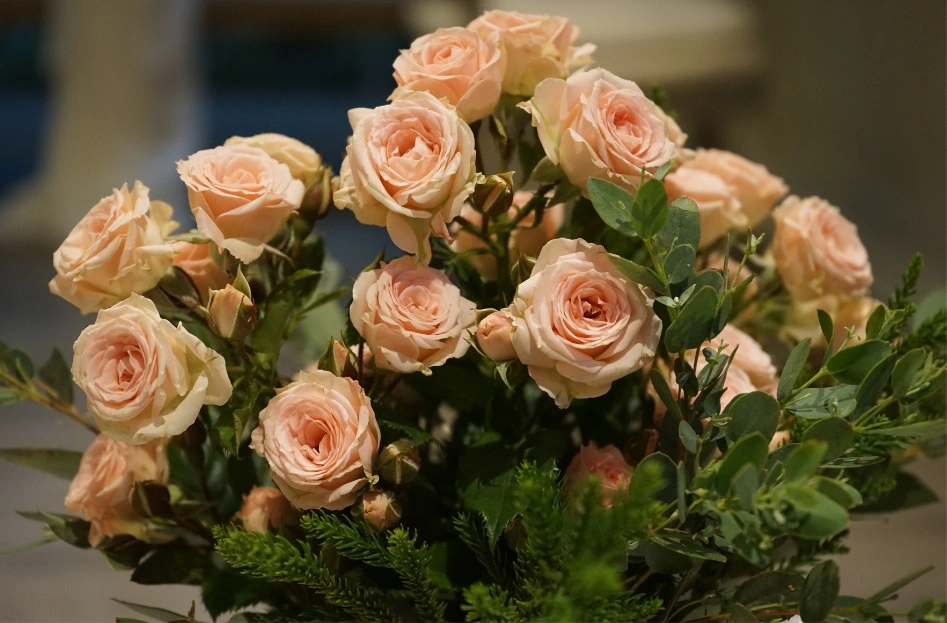 Bouquet of peach roses