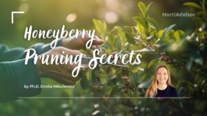 Honeyberry Pruning: The Ultimate Guide to Boost Your Yield